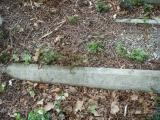 image of grave number 624162